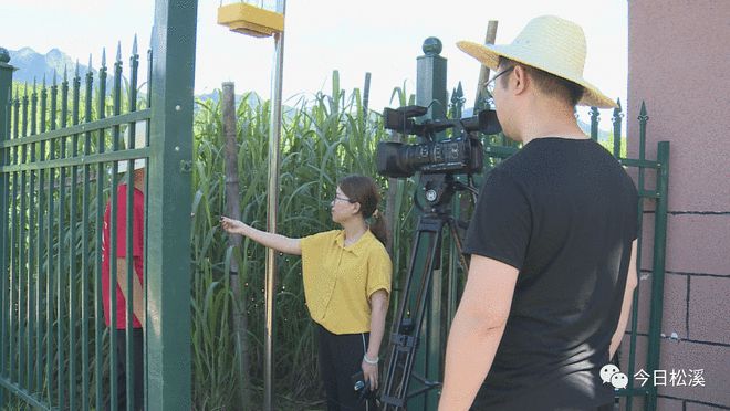 《鄉約科普》走進松溪 科技與鄉村的美麗相遇