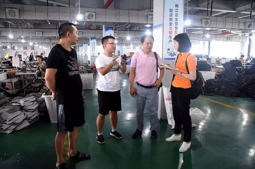 江蘇臺攝制組聚焦大龍，專題片攝制展現獨特風采